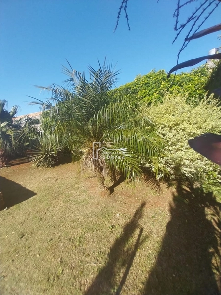 : 19ª foto da galeria de imagens do imóvel