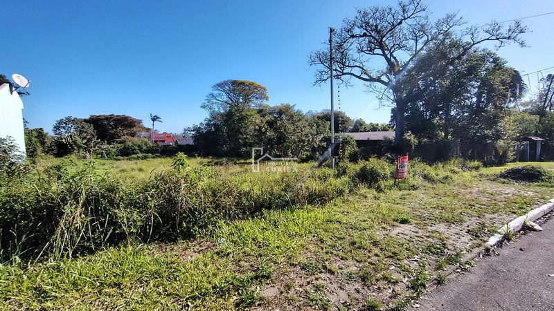 ÓTIMO INVESTIMENTO, BAIRRO ALEGRIA!: 4ª foto da galeria de imagens do imóvel