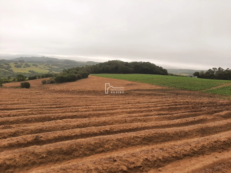 TERRENO A VENDA EM MARIANA PIMENTEL: 8ª foto da galeria de imagens do imóvel