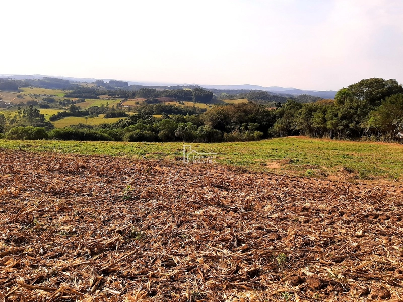 TERRENO A VENDA EM MARIANA PIMENTEL: 3ª foto da galeria de imagens do imóvel