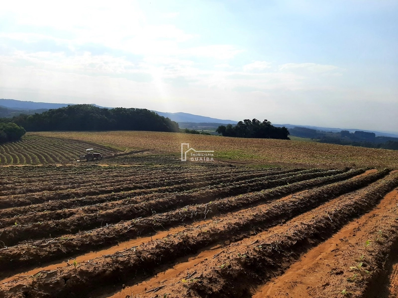 TERRENO A VENDA EM MARIANA PIMENTEL: 12ª foto da galeria de imagens do imóvel