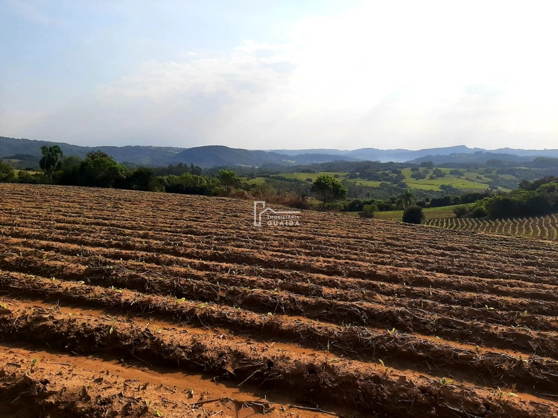 TERRENO A VENDA EM MARIANA PIMENTEL: 13ª foto da galeria de imagens do imóvel