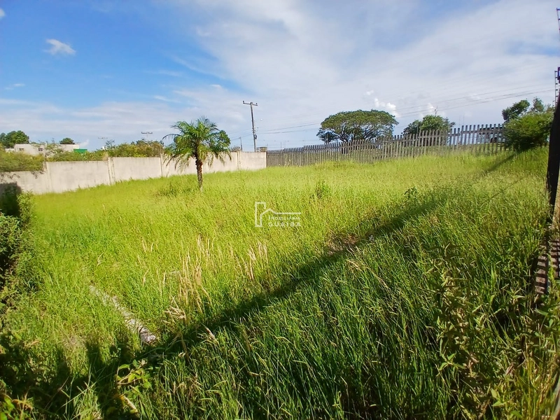 Pavilhão de 3 pavimentos + terreno ao lado em excelente localização!: 11ª foto da galeria de imagens do imóvel