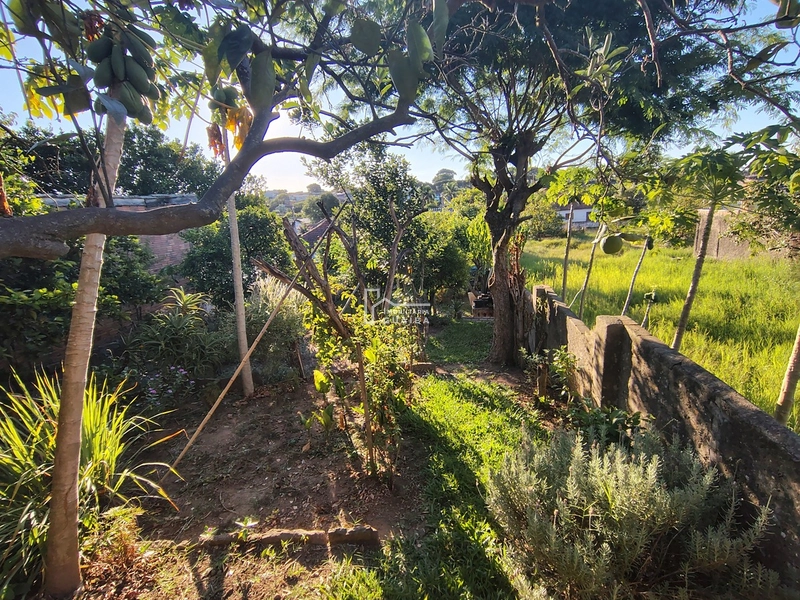 CASA COM 3 DORMITÓRIOS  NO BAIRRO CEL NASSUCA , Guaíba .: 25ª foto da galeria de imagens do imóvel