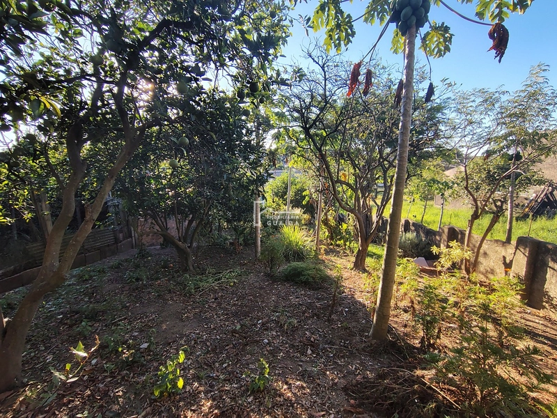 CASA COM 3 DORMITÓRIOS  NO BAIRRO CEL NASSUCA , Guaíba .: 26ª foto da galeria de imagens do imóvel