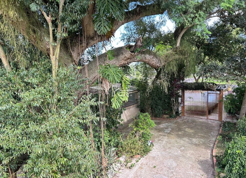 Seu encanto no bairro em meio a natureza: 2ª foto da galeria de imagens do imóvel