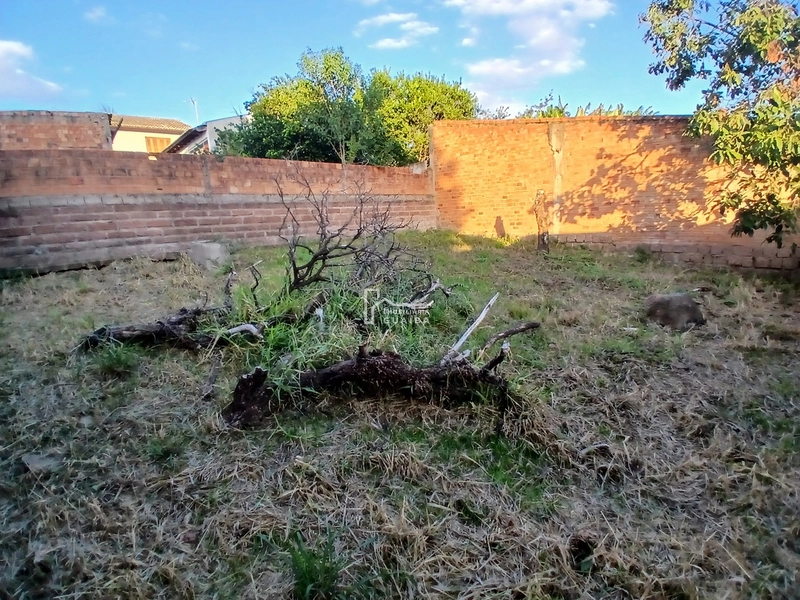 CASA COM 3 DORMITÓRIOS E 2 BANHEIROS: 8ª foto da galeria de imagens do imóvel