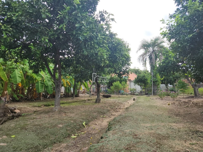 Imóvel na Vila Iolanda: 10ª foto da galeria de imagens do imóvel