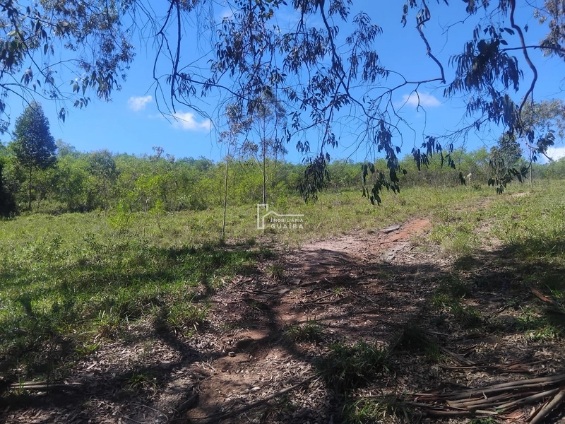 Área rural Barra do Ribeiro: 1ª foto da galeria de imagens do imóvel