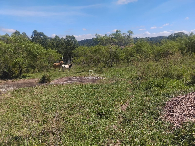 Área rural Barra do Ribeiro: 7ª foto da galeria de imagens do imóvel