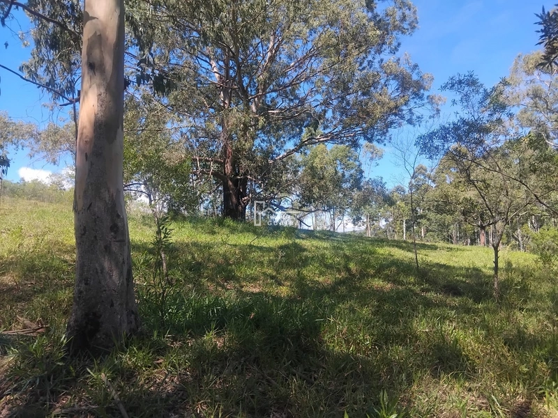 Área rural Barra do Ribeiro: 5ª foto da galeria de imagens do imóvel