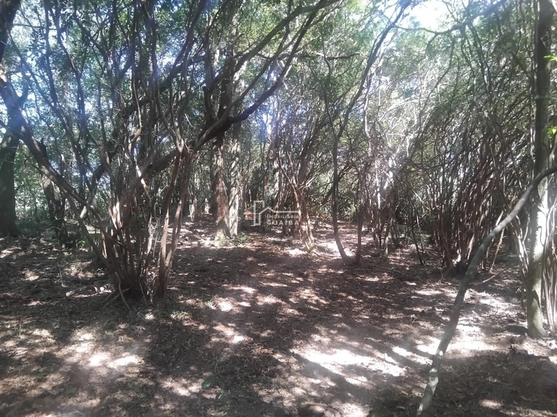 Área rural Barra do Ribeiro: 3ª foto da galeria de imagens do imóvel