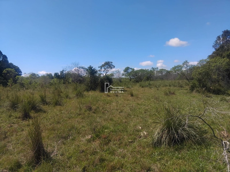 Área rural Barra do Ribeiro: 2ª foto da galeria de imagens do imóvel
