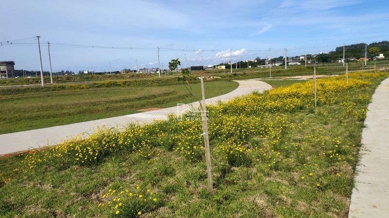 TERRENO NO GUIABA PARK , PRONTO PARA CONSTRUIR: 13ª foto da galeria de imagens do imóvel