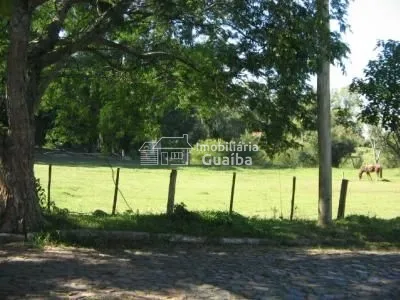 Amplo terreno com 3000mt²: 2ª foto da galeria de imagens do imóvel