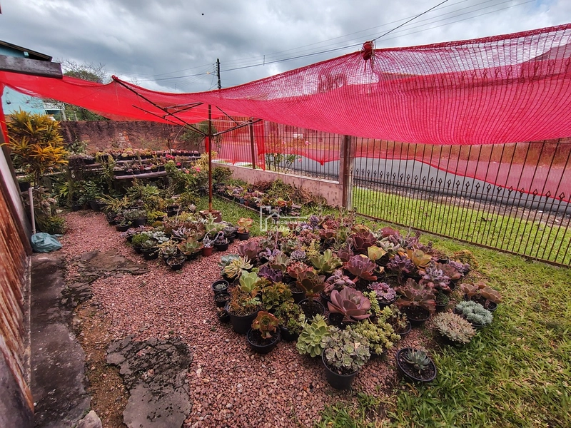 Casa de esquina,em terreno amplo: 10ª foto da galeria de imagens do imóvel