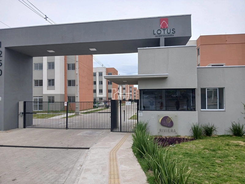 Lindo apartamento com ótimo preço