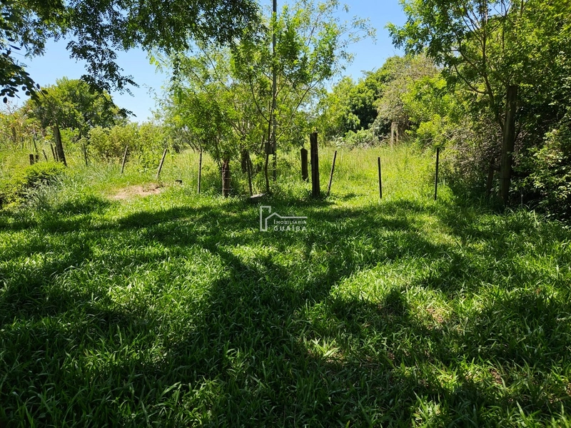 terreno muito bem localizado: 5ª foto da galeria de imagens do imóvel