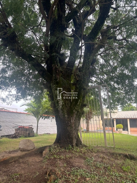 Terreno amplo com beneficios: 4ª foto da galeria de imagens do imóvel