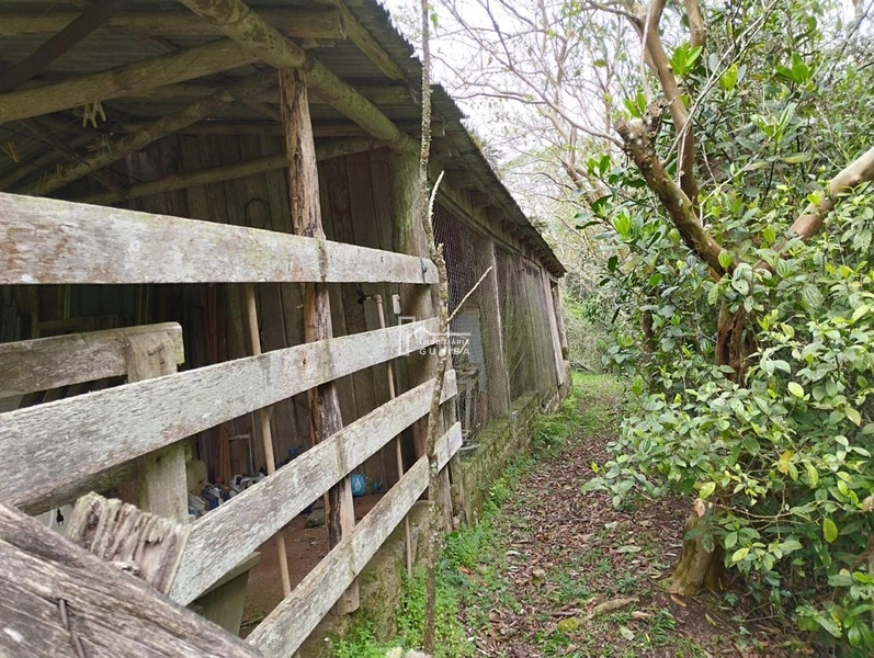 Sítio pronto  para moradia: 8ª foto da galeria de imagens do imóvel