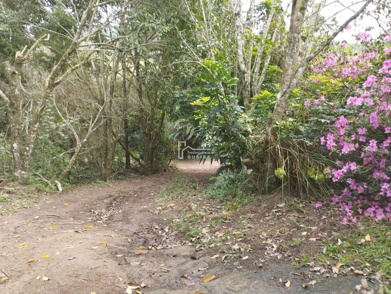 Sítio pronto  para moradia: 6ª foto da galeria de imagens do imóvel