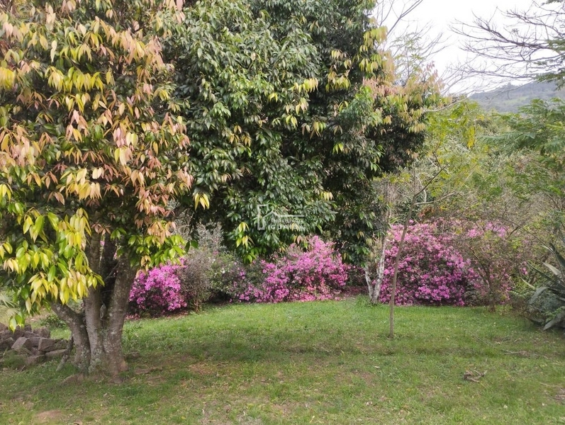 Sítio pronto  para moradia: 9ª foto da galeria de imagens do imóvel