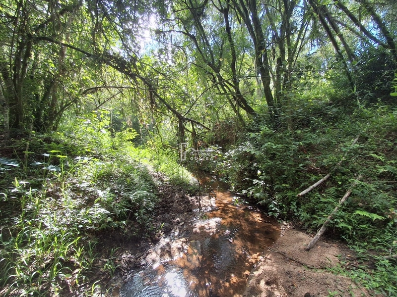 : 4ª foto da galeria de imagens do imóvel