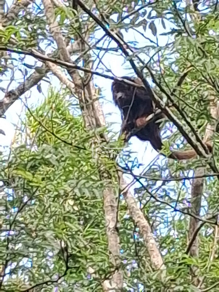 : 3ª foto da galeria de imagens do imóvel