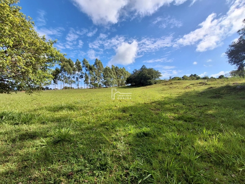 : 6ª foto da galeria de imagens do imóvel