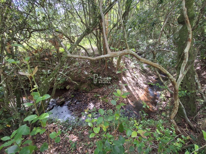 : 2ª foto da galeria de imagens do imóvel