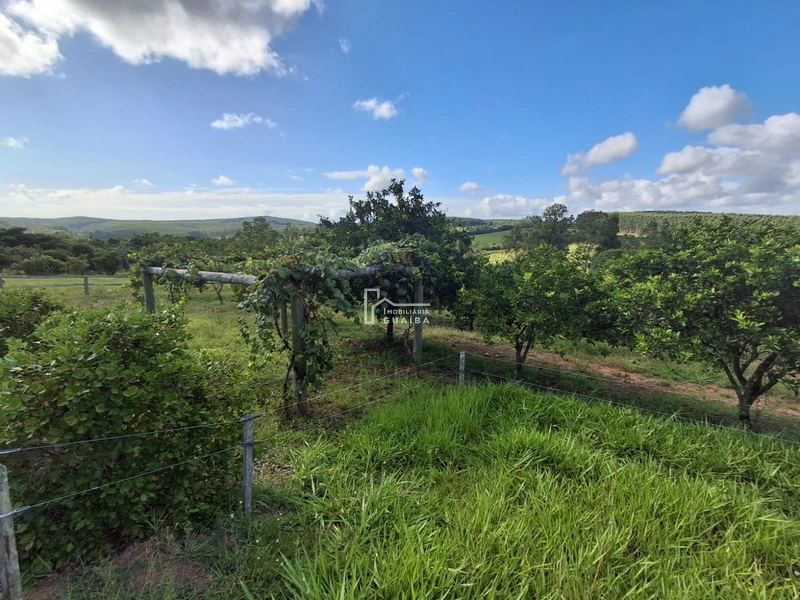 : 14ª foto da galeria de imagens do imóvel