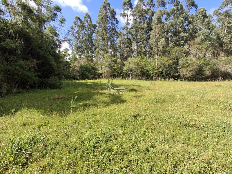 : 1ª foto da galeria de imagens do imóvel