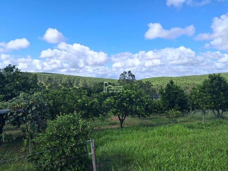 : 10ª foto da galeria de imagens do imóvel