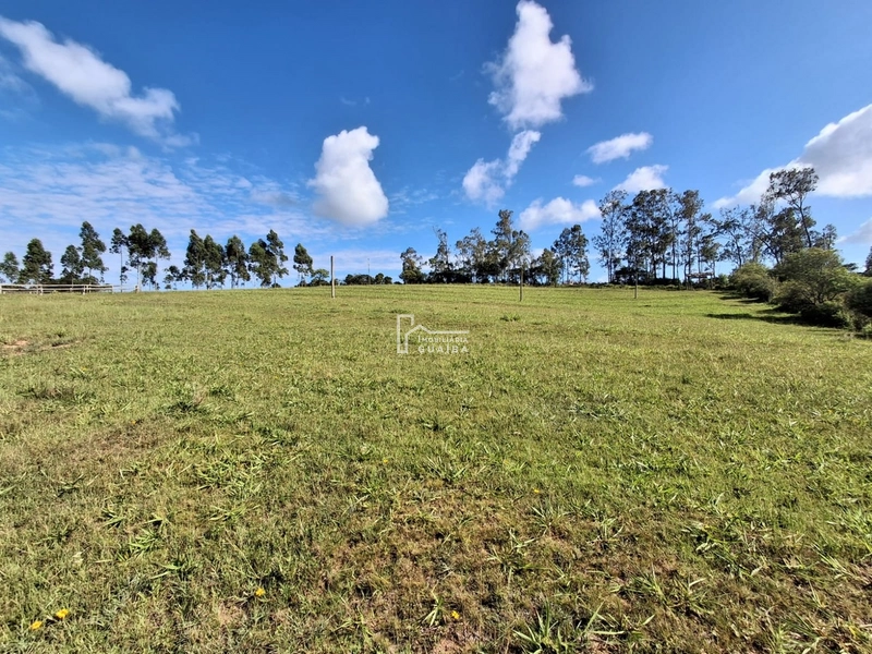 : 12ª foto da galeria de imagens do imóvel