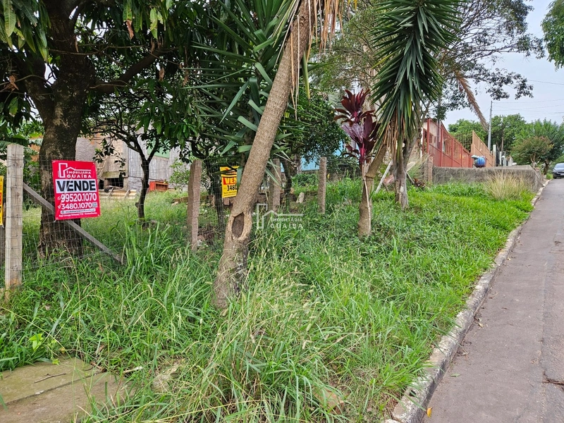 terreno de esquina: 3ª foto da galeria de imagens do imóvel