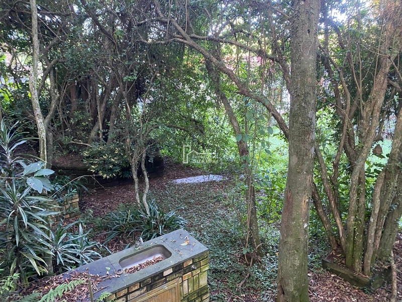 Um amplo Terreno: 3ª foto da galeria de imagens do imóvel