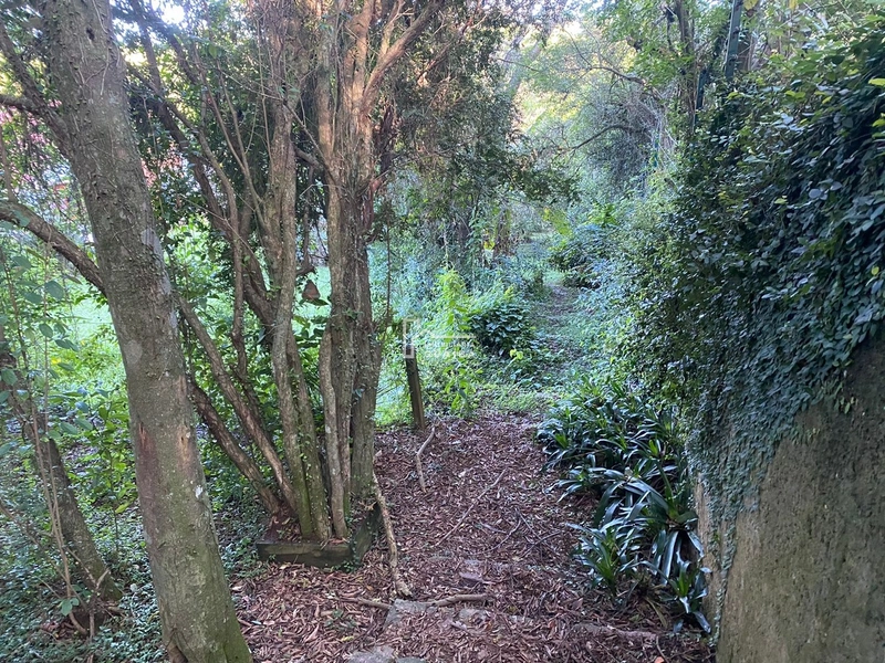 Um amplo Terreno: 6ª foto da galeria de imagens do imóvel