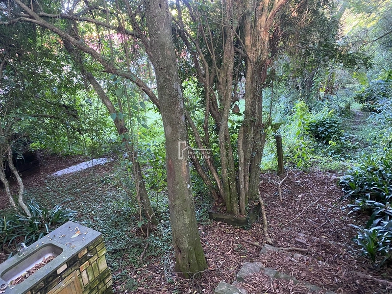 Um amplo Terreno: 2ª foto da galeria de imagens do imóvel