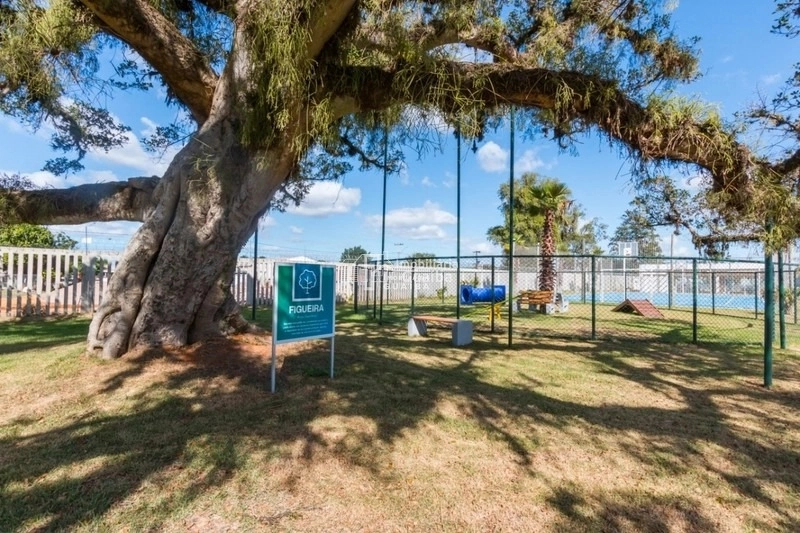 Terreno em local consolidado: 14ª foto da galeria de imagens do imóvel