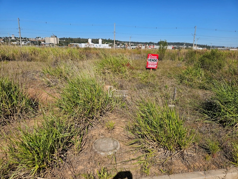 No inicio do bairro Guaiba Park: 5ª foto da galeria de imagens do imóvel