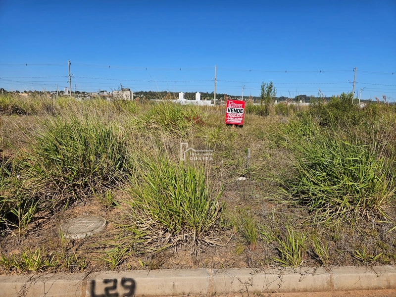No inicio do bairro Guaiba Park: 6ª foto da galeria de imagens do imóvel