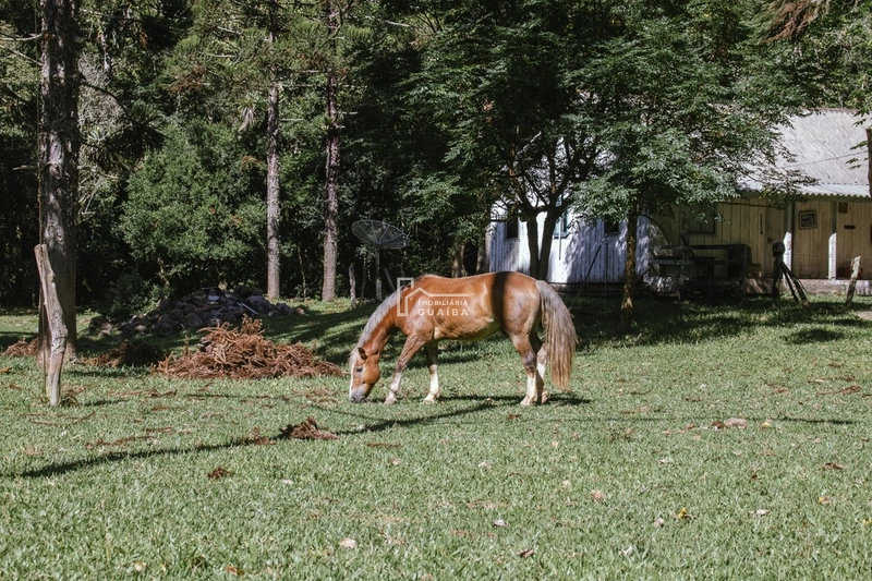 Propriedade Surreal: 3ª foto da galeria de imagens do imóvel