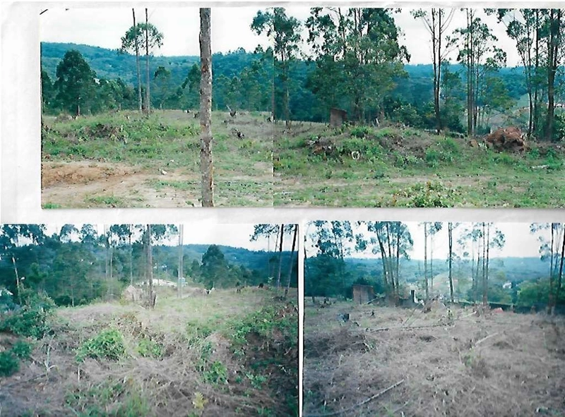 Lote 1.550,32 m² próximo da Est do Capuava, entre Granja e o Embu.: 3ª foto da galeria de imagens do imóvel