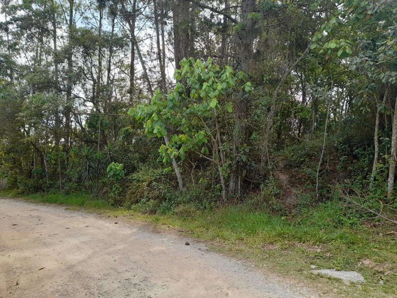 Lote 1.550,32 m² próximo da Est do Capuava, entre Granja e o Embu.: 7ª foto da galeria de imagens do imóvel