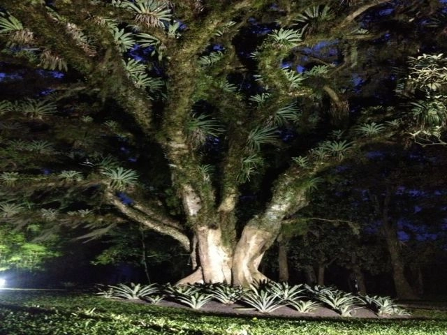 6ª foto do condomínio