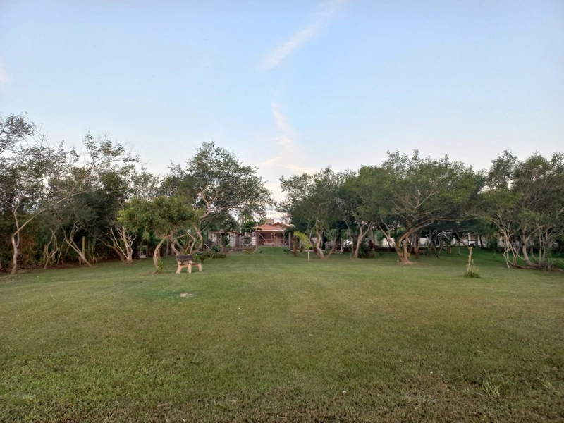MARAVILHOSO SITIO NA BEIRA DA LAGOA: 3ª foto da galeria de imagens do imóvel