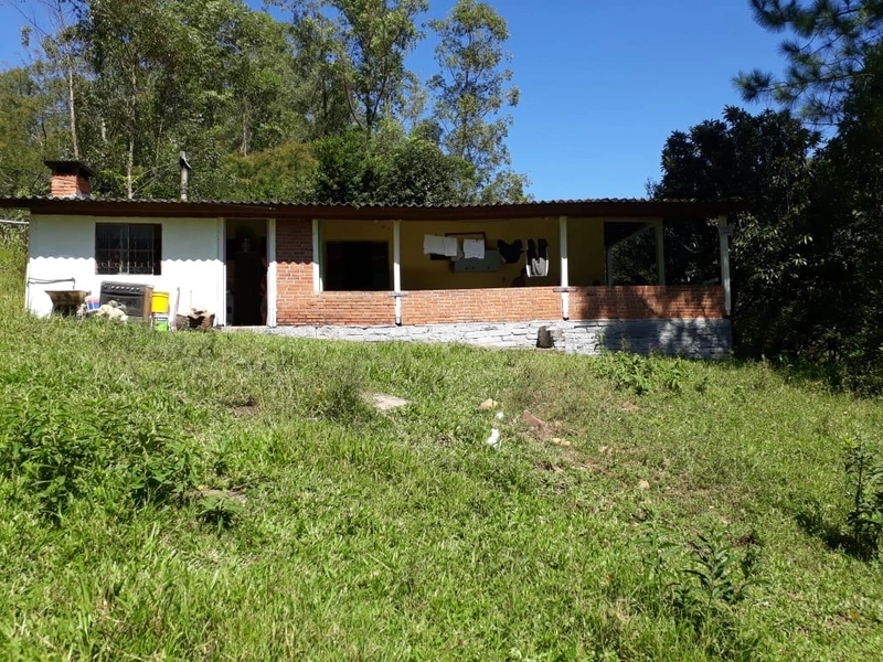 ÁREA RURAL COM CASA ALVENARIA E MAQUINÉ- RS: 1ª foto da galeria de imagens do imóvel