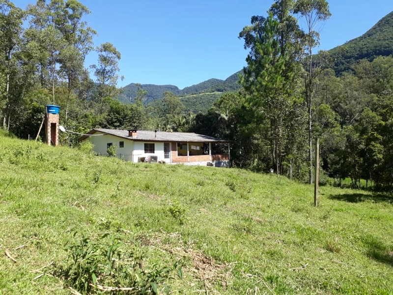 ÁREA RURAL COM CASA ALVENARIA E MAQUINÉ- RS: 13ª foto da galeria de imagens do imóvel