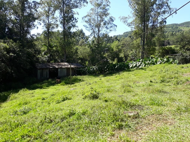 ÁREA RURAL COM CASA ALVENARIA E MAQUINÉ- RS: 22ª foto da galeria de imagens do imóvel
