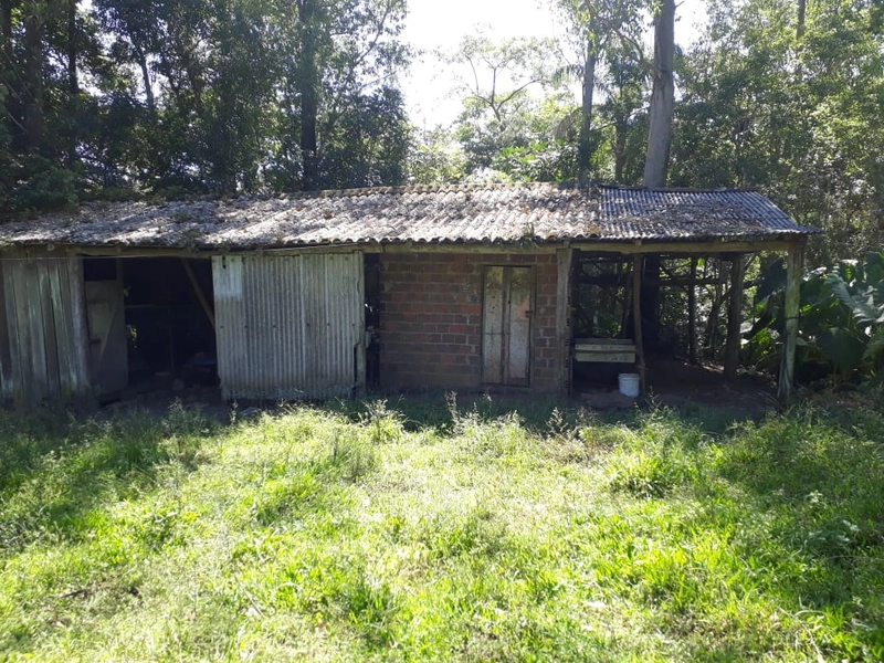 ÁREA RURAL COM CASA ALVENARIA E MAQUINÉ- RS: 14ª foto da galeria de imagens do imóvel